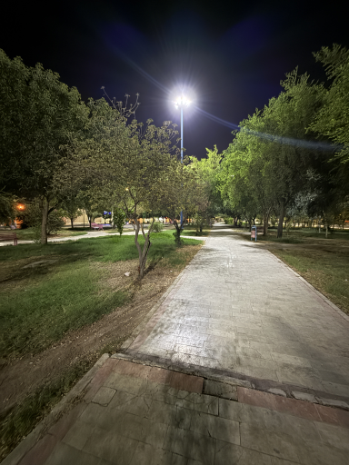 عکس پارک پیل پا | 72 تن